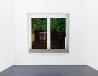 Jed, 2015. C-print, diasec, 160 x 160 cm