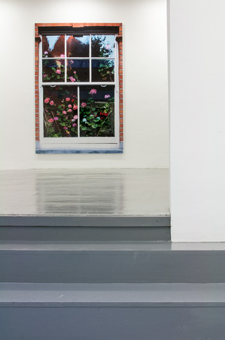 Andy, 2014. C-print, diasec, 204 x 140 cm, in: Florilegia, 2015, Grimaldi Gavin Gallery, London