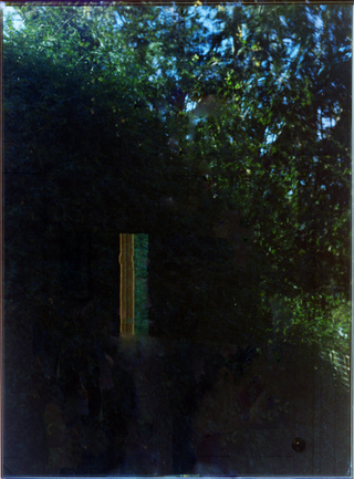 s17_5, 2017