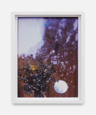 S1_5, 2016
