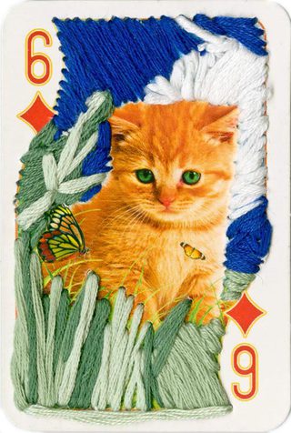 Six of Diamonds, Pussy Deck, 2013