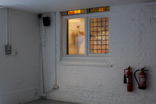 Lilly and Two Money Trees, 2012. Inkjet prints behind window, 100 x 150 cm, in: Ekistics and Ikebana Observatory Vol 1, 2014, Oxford House, London