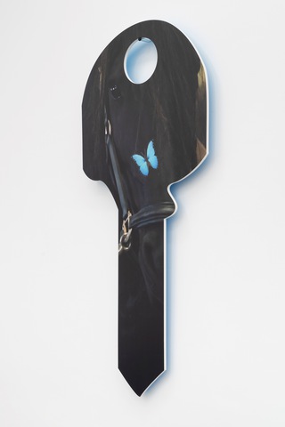rosa butterfly (from keta femmunism to somatic interspecies communism), 2022.
UV print on light-weight foam board
210 x 89 x 1.9 cm. In collaboration with Andrey Bogush, in: Tagesschau, 2022, Mountains, Berlin. 
Photo: BQ Foto 