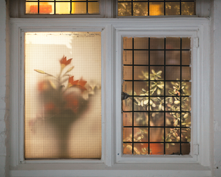 Lilly and Two Money Trees, 2012. Inkjet prints behind window, 100 x 150 cm, in: Ekistics and Ikebana Observatory Vol 1, 2014, Oxford House, London