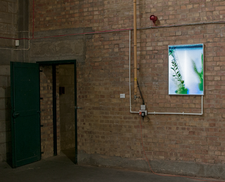 Glücksfeder, Köln (Cultural Advantages), 2012. Lightbox, piping, 84,5 x 64 cm, in: In Transit, 2013, V22, London