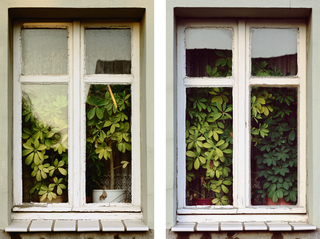 Wahn I + II, 2014. Diptych, c-print, diasec, 140 x 90 cm each