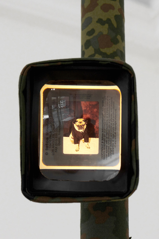 Pole for Paul (Schließe die Augen, ich bin eine Landschaft für dich), 2020. Scaffold pole mounting in Flecktarn gaiter, Cenei Scoper K1 slide projectors in Flecktarn covers, 35 mm slides: ‘Neuronenstern des Krebsnebels, T-R 176/8’ and ‘The Dog From MIB 2, 23.06.2002, New York’, 324 x 28 x 28 cm (detail)