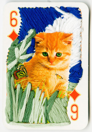 Pussy Deck, 2013/2020